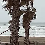 La Vermeille De Barcares A La Plage, Front De Mer, 3 Etoiles بيت للعطل