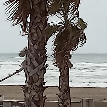 La Vermeille De Barcares A La Plage, Front De Mer, 3 Etoiles Ferienhaus
